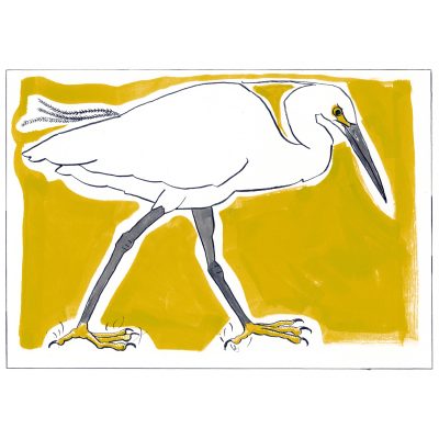 C5429 Little Egret - Miranda Johnston