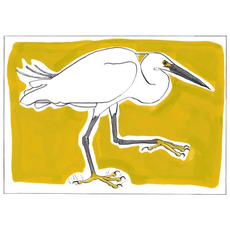 C5430 Little Egret - Miranda Johnston
