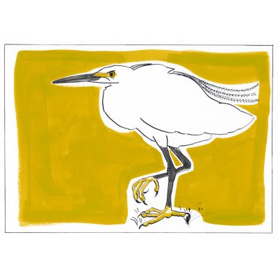 C5431 Little Egret - Miranda Johnston