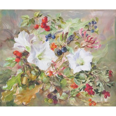 C5474 Con Volvulus and Berries - Anne Cotteril