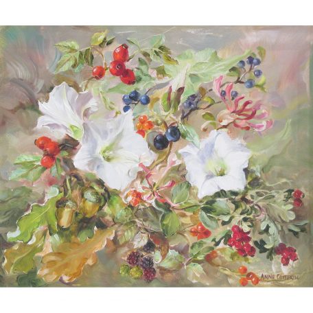 C5474 Con Volvulus and Berries - Anne Cotteril