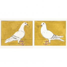 C5565 Pigeons – Miranda Johnston