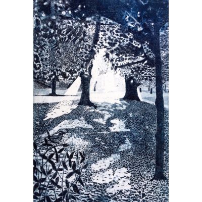 C5599 Dazzled - Janis Goodman