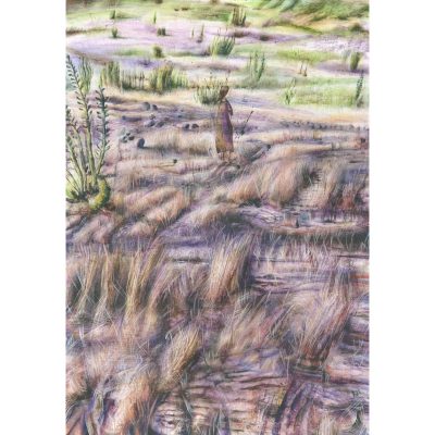 C5576 Heather - Rebecca Bromley