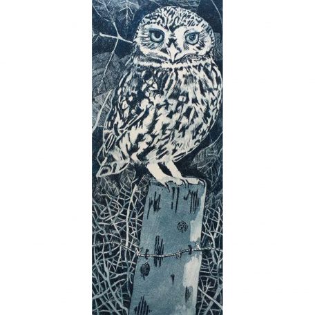C5597 Little Owl on a Post - Janis Goodman