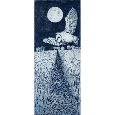 C5594 Night Flight - Janis Goodman