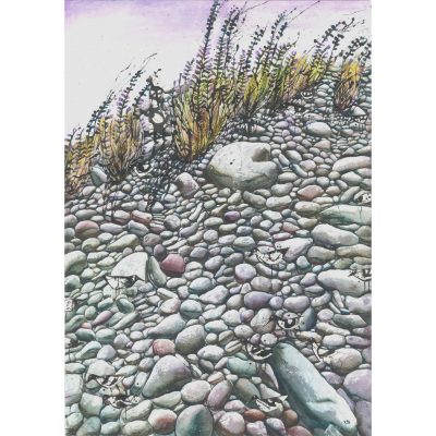 C5575 Birds and Pebbles - Rebecca Bromley