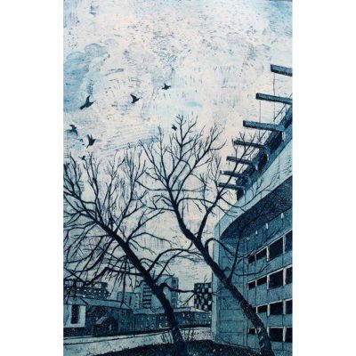 C5598 Accomadation - Janis Goodman