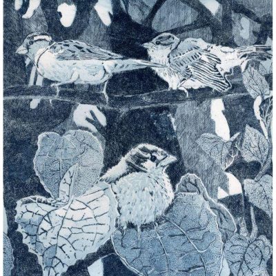 C5600 Fledged - Janis Goodman