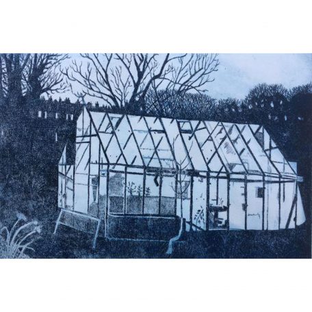 C5601 Illuminated - Janis Goodman