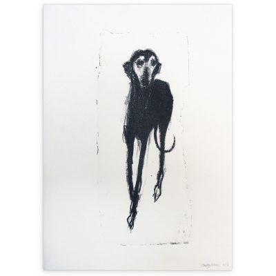 1070C Dorelia 3/12 - Sally Muir