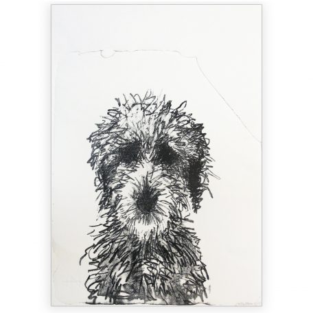 0354C Edie 3/12 - Sally Muir