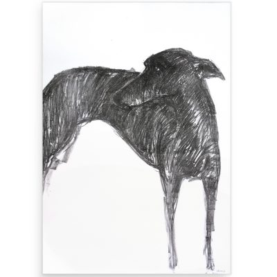 0374C Hound Turning 2/8 - Sally Muir