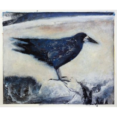 C5819 Rook - Madeleine Town