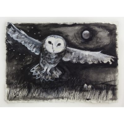 C5830 Flying Owl - Madeleine Town