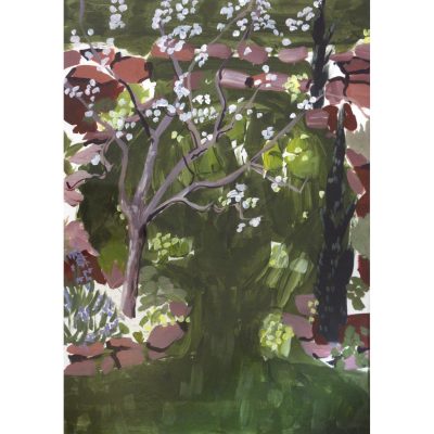 C5868 Apple Blossom - Rachel Waldock