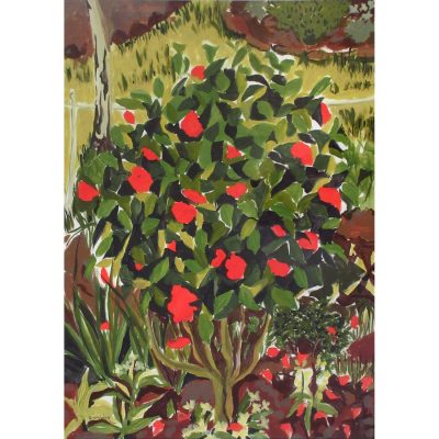 C5869 Camelia - Rachel Waldock