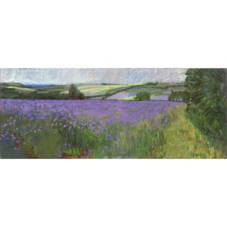 Lavender Field – Copy