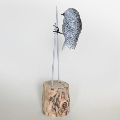 C6090 Marsh Tit- Lucy Large