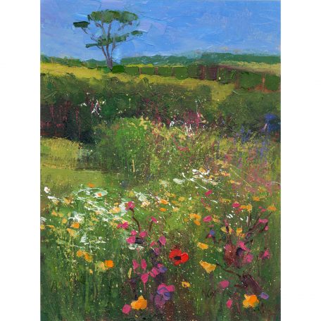 C6069 Wild Flower Meadow - Neville Cox