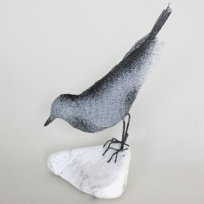 C6089 Wagtail II - Lucy Large