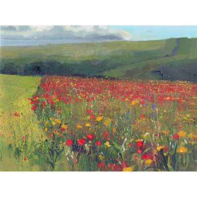 C6068 Wild Poppies - Neville Cox