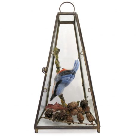 C6145 Nuthatch - Sue Clements