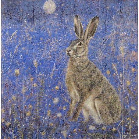 0506X Lepus Lazuli - Anne Mortimer RMS SBA