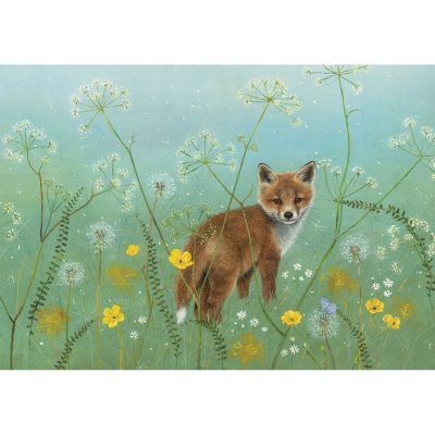 X3895 Mayday Fox Cub - Anne Mortimer RMS SBA