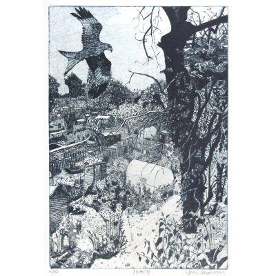 C6331 Plotting - Janis Goodman