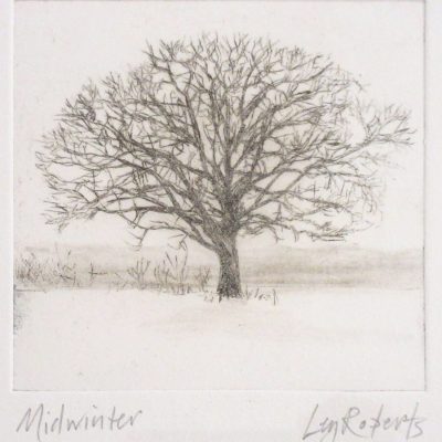 0254C Midwinter - Ley Roberts