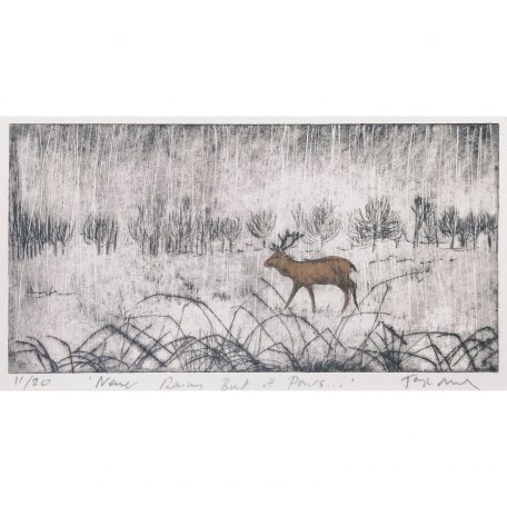 C6360 Never Rains But It Pours- Tanya Morel