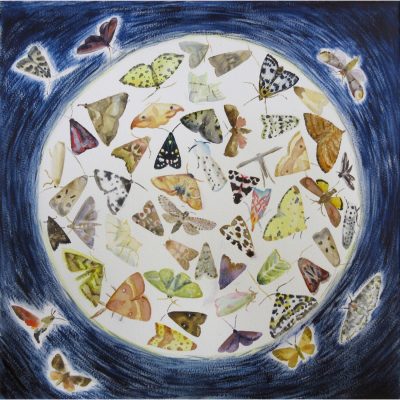 0390C Mothstorm- Madeleine Town