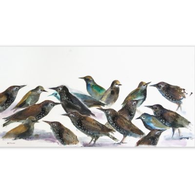 0386C Starlings - Madeleine Town