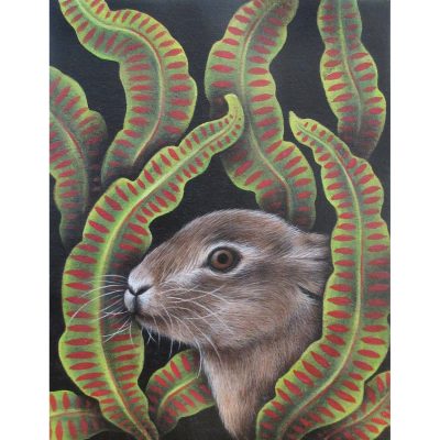 1433C Hare and Hart's Tongue Fern - Louise Crabb