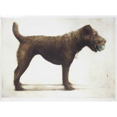 1267C Izzy With Her Ball - Helen Fay