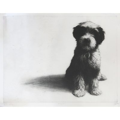 1266C Magnus - Helen Fay