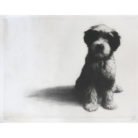 1266C Magnus - Helen Fay