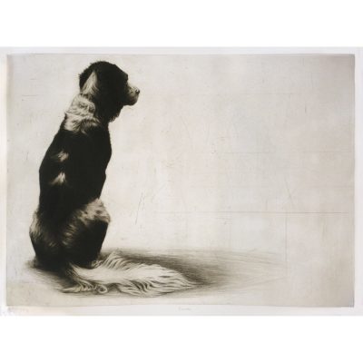 1265C Phoebe - Helen Fay