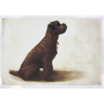 1268C Pickle - Helen Fay