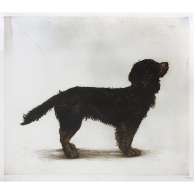 1264C Silka - Helen Fay