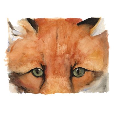 1420X Red Fox - Jackie Morris and Robert Macfarlane