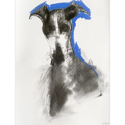 1576C Hound on Blue - Sally Muir