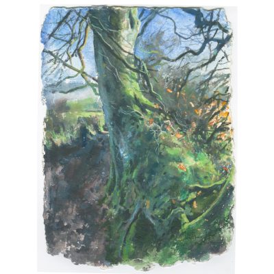 1511C The Old Way- Jonathan Walker