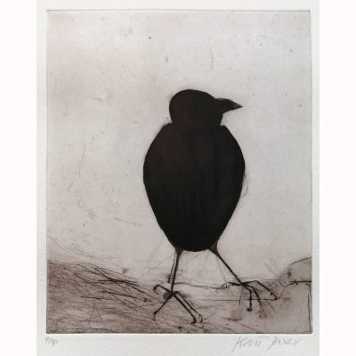 1962C Jackdaw 9/30 - Kate Boxer