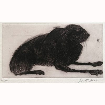 1963X Hare XII/XXX - Kate Boxer