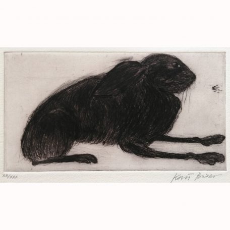 1963X Hare XII/XXX - Kate Boxer