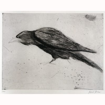 1964C Crow I/XXX - Kate Boxer