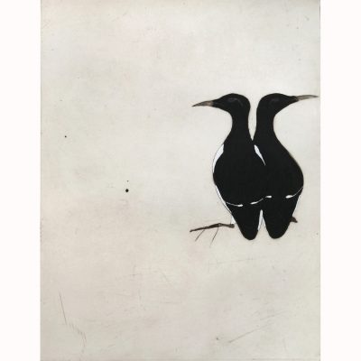 1967C Guillemots 8/30 - Kate Boxer