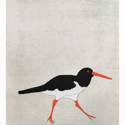 1970C Oystercatcher 11/30 - Kate Boxer